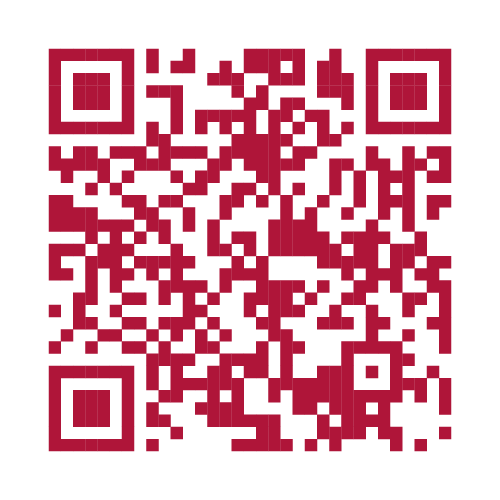 qr code rouge